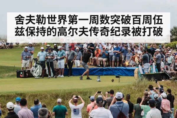舍夫勒世界第一周数突破百周伍兹保持的高尔夫传奇纪录被打破