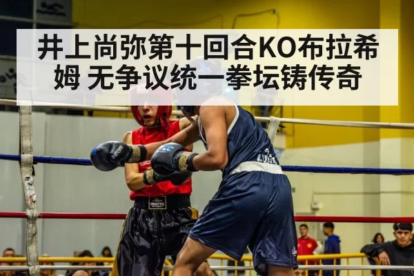 井上尚弥第十回合KO布拉希姆 无争议统一拳坛铸传奇